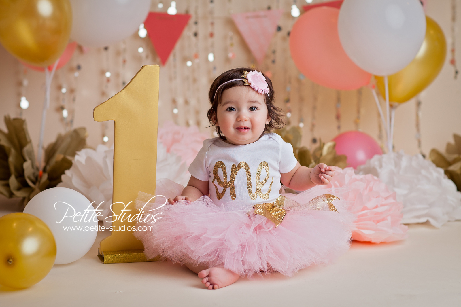 Chicago and Naperville Baby Photographer – Cake Smash – First Birthday ...