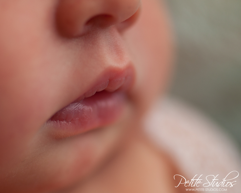 CHICAGO AND NAPERVILLE NEWBORN AND BABY PHOTOGRAPHER